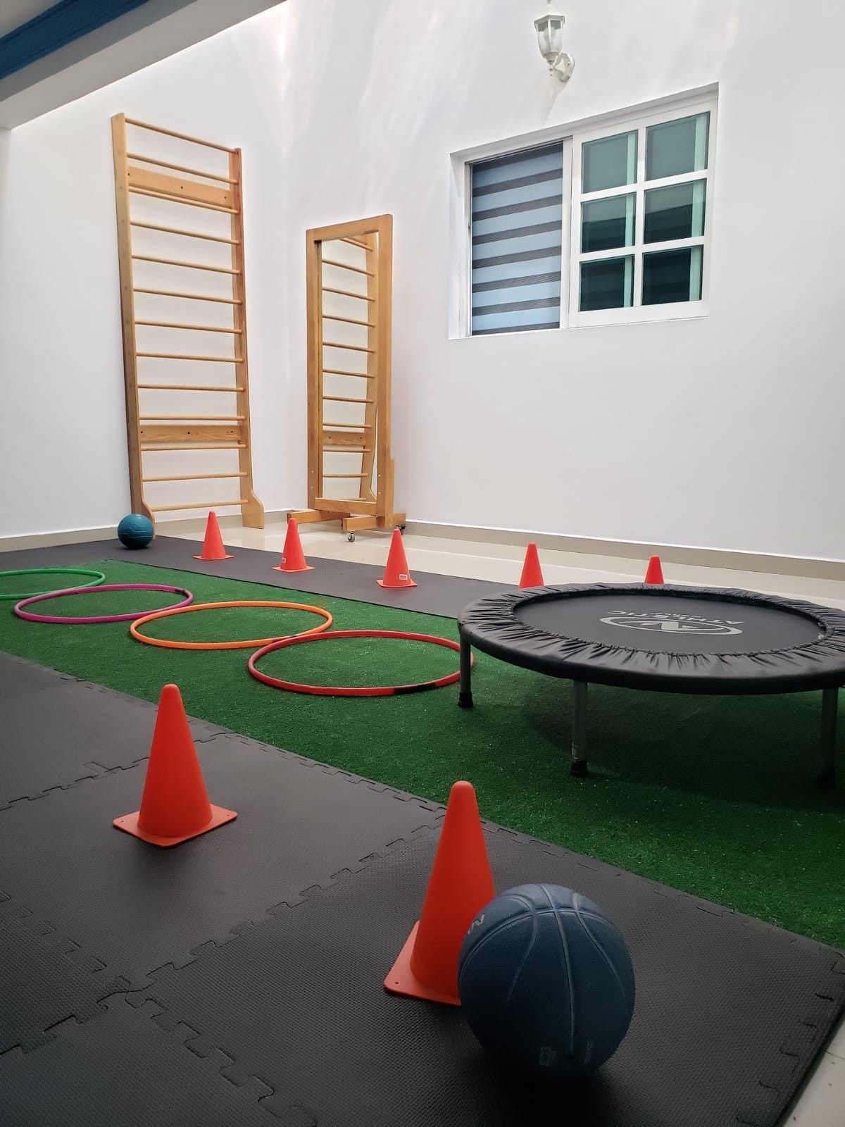 Fisioterapia domiciliar premium